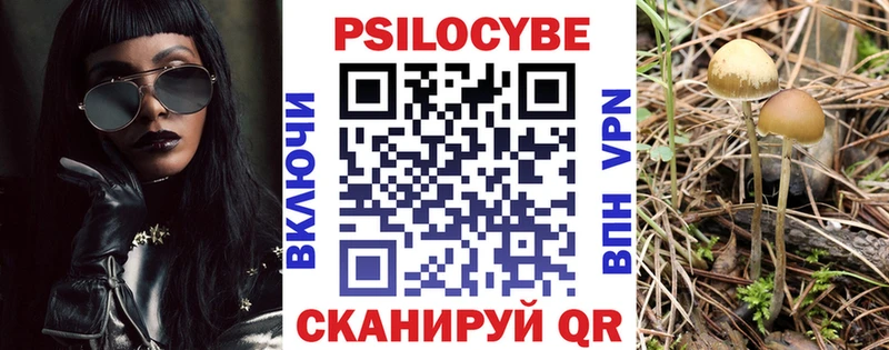 kraken рабочий сайт  Острогожск  Галлюциногенные грибы MAGIC MUSHROOMS 